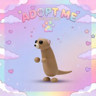 Meerkat