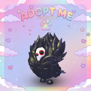 Jacobin Pigeon - adopt me