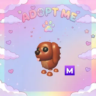 X3 Irish Setter Mega