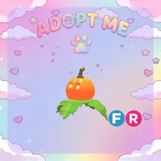 Pumpkin Friend FR