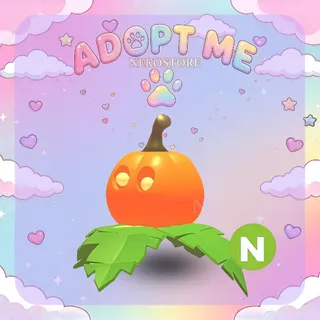 Pumpkin Neon