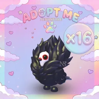Jacobin Pigeon - adopt me