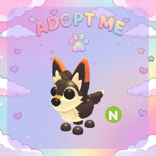 X4 Mexican Wolf Neon