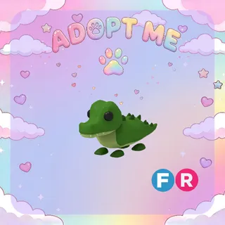 Crocodile FR