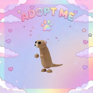 Meerkat