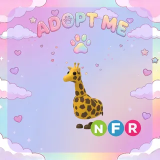 NFR Giraffe 🦒