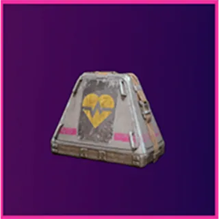 x12 Looting Mk. 3 (Survivor) Bundle