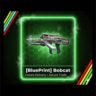 bobcat blueprint