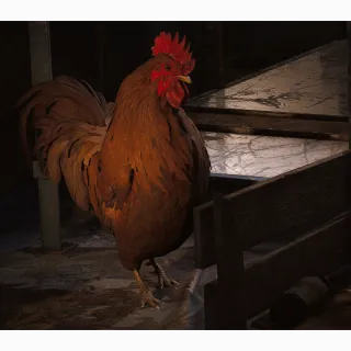 Scrappy 2 LVL - Forager (Dog Collar)