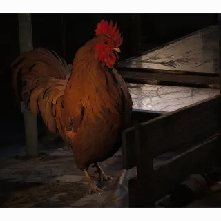 Scrappy 5 LVL -Master Hoarder (12x Mushroom, 12x Apricot, 3x Very Comfortable Pillow)