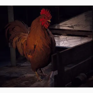 Scrappy 4 LVL -Treasure Hunter (6x Prickly Pear, 6x Olives, 1x Cat Bed)