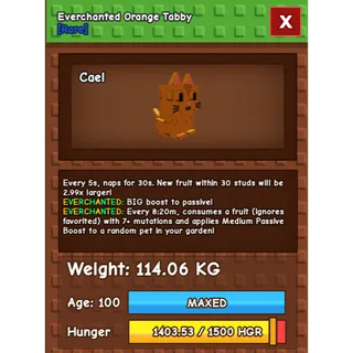 114KG Colossal Orange Tabby