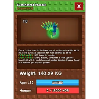 140KG Colossal Everchanted Peacock