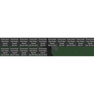 7x Everchanted Ruby Squid 61KG