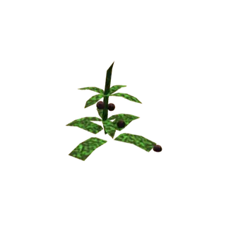 20 dogbane herb | Bridger western