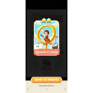 QUIDDITCH HOOP