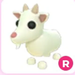 Goat R