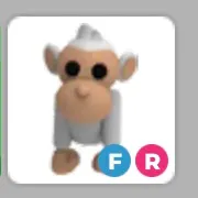 FR Albino Monkey