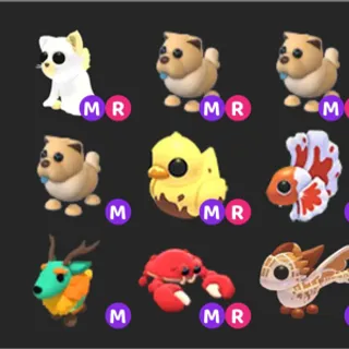 Mega Pets Bundle