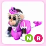 Neon Princess Capuchin Monkey