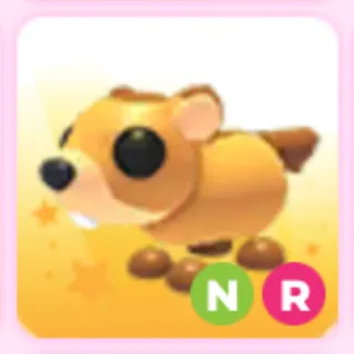 NR Groundhog