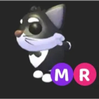 Mega Tuxedo Cat
