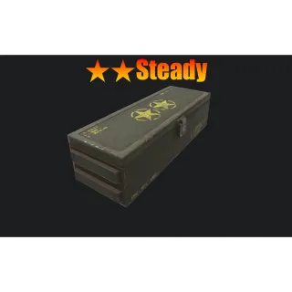 ⭐️⭐️ Steady Mod