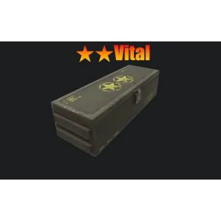 ⭐️⭐️ Vital Mod