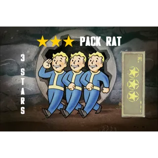 ⭐️⭐️⭐️ 5x Pack Rat Mods Bundle