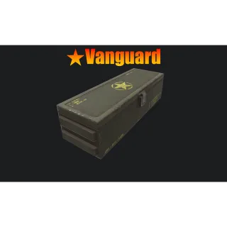 ⭐️ Vanguard Mod