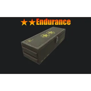 ⭐️⭐️ Endurance Mod