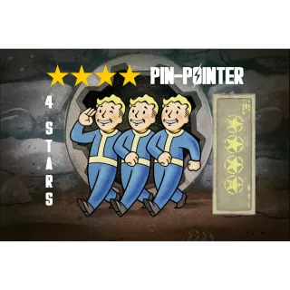 ⭐️⭐️⭐️⭐️ Pin Pointer Mod