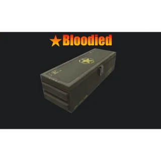 ⭐️ Bloodied Mod