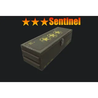 ⭐️⭐️⭐️ Sentinel Mod