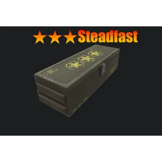 ⭐️⭐️⭐️ Steadfast Mod