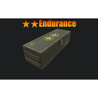 ⭐️⭐️ Endurance Mod