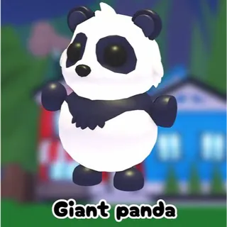 giant panda