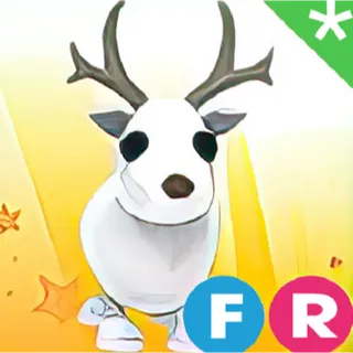 artic reindeer fr