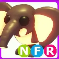 bush elephant nfr