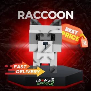 Raccoon