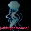 Midnight Medusa Bobber