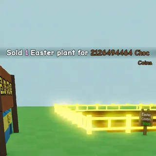 2B CHOCOLATE COINS | GROW A GARDEN