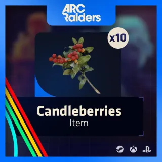 X85 Candleberries | ARC Raiders