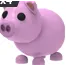 Adopt Me Pig