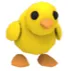 Adopt Me Chick