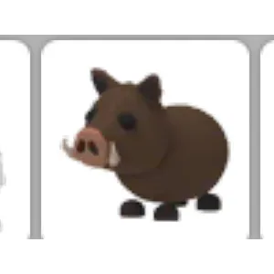 Adopt Me Wild Boar