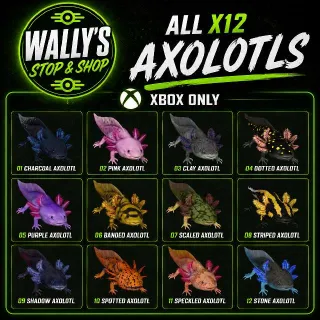 All x12 Axolotls