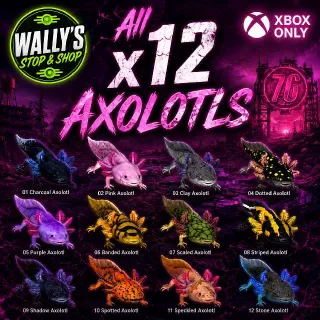 All 12 Axolotls