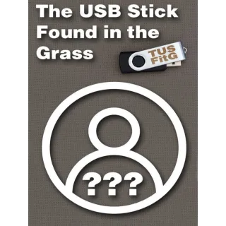 ⚡️ The USB Stick Found in the Grass | Steam Key Global | Instant Delivery! ⚡️