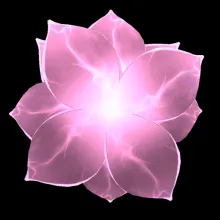 Lotus Bloom | Titanium White